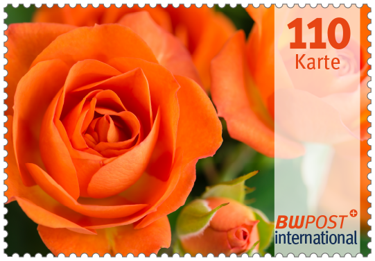 flowers_international_110_postkarte