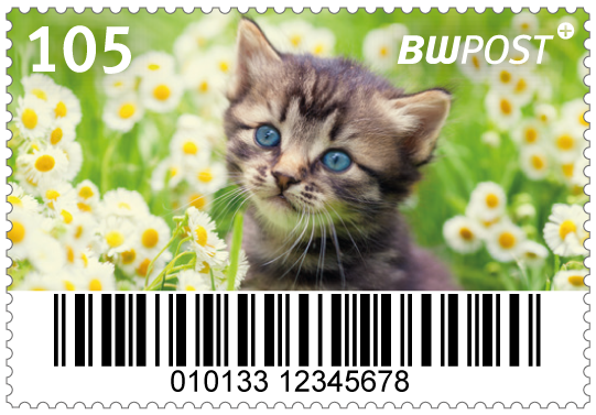 105_einzelmarke_katze_20260310